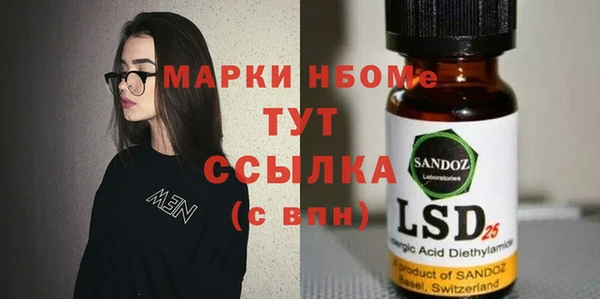 spice Дмитриев