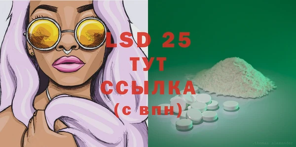spice Дмитриев