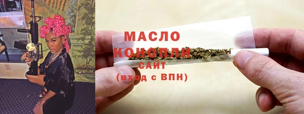spice Дмитриев