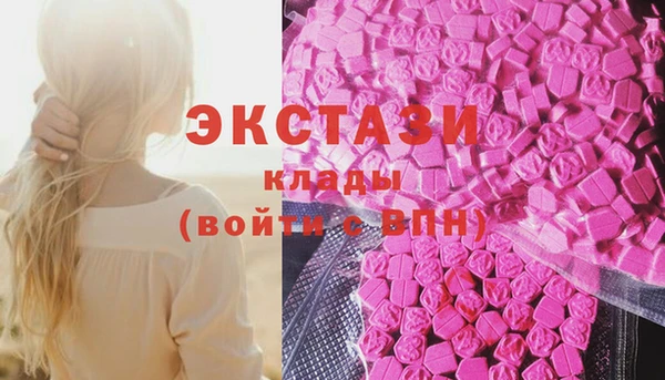 spice Дмитриев
