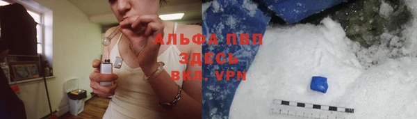 spice Дмитриев