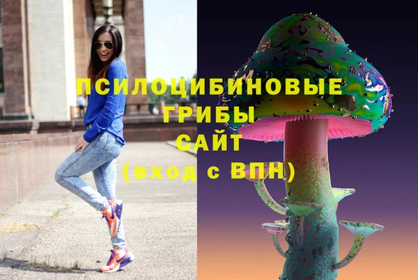 spice Дмитриев