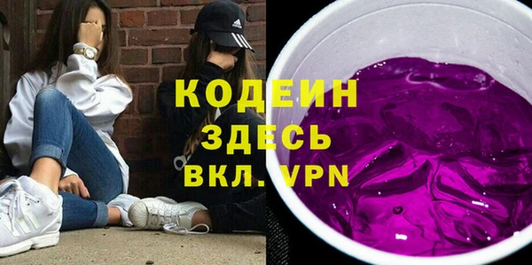 spice Дмитриев