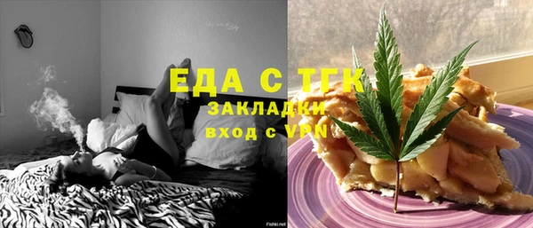 spice Дмитриев