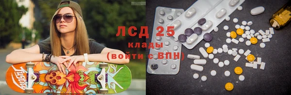 spice Дмитриев